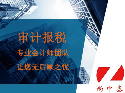 审计报税